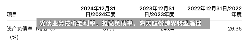 光伏业务拉低毛利率、推高负债率，海天股份跨界转型遇挫-第2张图片