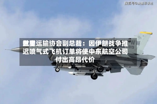 世界航空运输协会副总裁：因伊朗战争推迟喷气式飞机订单将使中东航空公司付出高昂代价-第2张图片