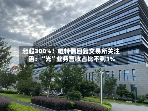 涨超300%！唯特偶回复交易所关注函：“光”业务营收占比不到1%-第2张图片