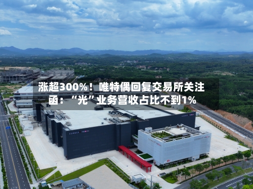 涨超300%！唯特偶回复交易所关注函：“光	”业务营收占比不到1%-第3张图片