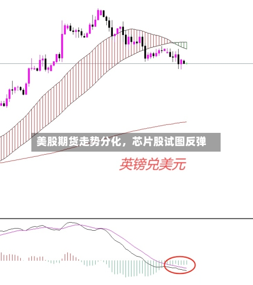 美股期货走势分化	，芯片股试图反弹-第2张图片