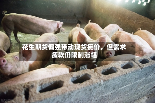 花生期货偏强带动现货挺价，但需求疲软仍限制涨幅-第2张图片