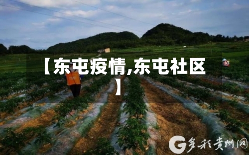 【东屯疫情,东屯社区】-第2张图片