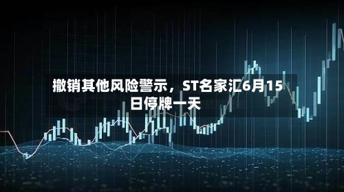 撤销其他风险警示，ST名家汇6月15日停牌一天-第2张图片