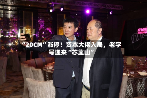 “20CM”涨停！资本大佬入局，老字号迎来“芯靠山	”-第2张图片