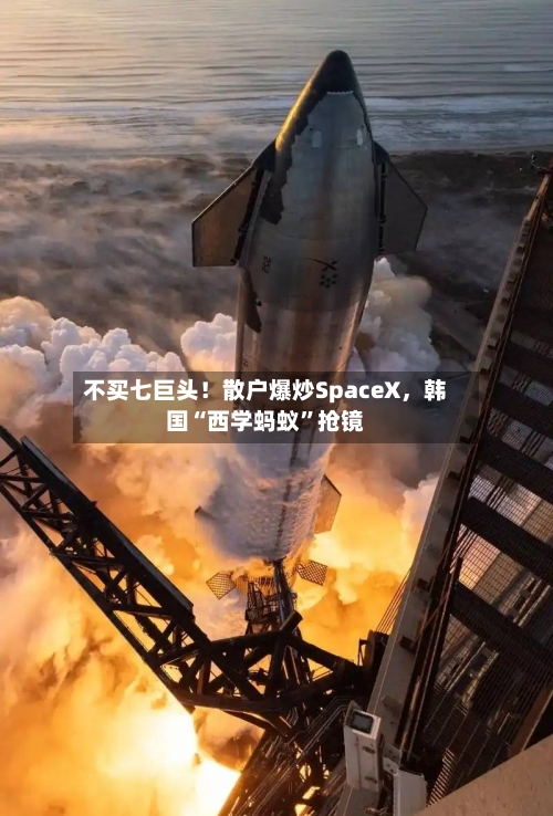 不买七巨头！散户爆炒SpaceX，韩国“西学蚂蚁”抢镜-第3张图片