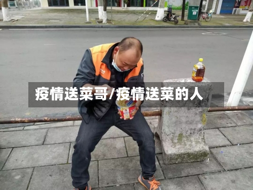 疫情送菜哥/疫情送菜的人