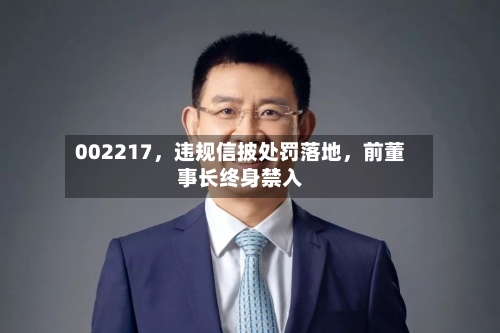 002217	，违规信披处罚落地，前董事长终身禁入-第2张图片