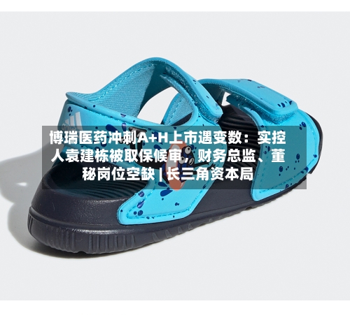 博瑞医药冲刺A+H上市遇变数：实控人袁建栋被取保候审，财务总监、董秘岗位空缺 | 长三角资本局-第2张图片