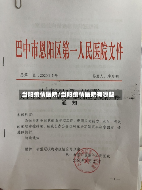 当阳疫情医院/当阳疫情医院有哪些-第2张图片