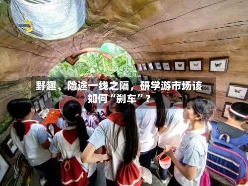 野趣、险途一线之隔，研学游市场该如何“刹车”？-第2张图片