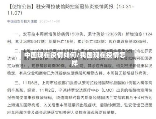 中国现在疫情如何/我国现在疫情怎样-第2张图片