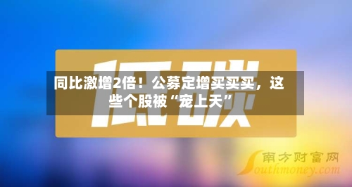 同比激增2倍！公募定增买买买，这些个股被“宠上天”-第2张图片