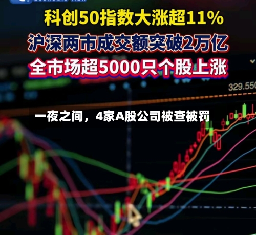 一夜之间	，4家A股公司被查被罚-第3张图片