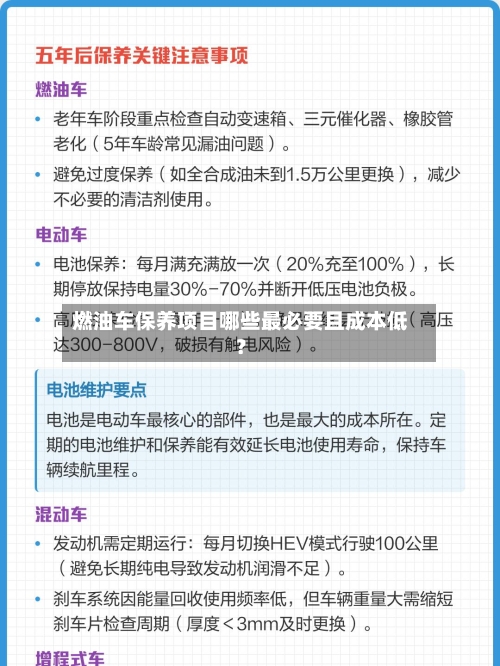 燃油车保养项目哪些最必要且成本低？-第3张图片