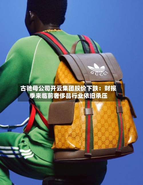 古驰母公司开云集团股价下跌：财报季来临前奢侈品行业依旧承压-第2张图片