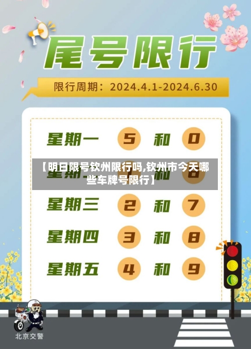 【明日限号钦州限行吗,钦州市今天哪些车牌号限行】-第2张图片