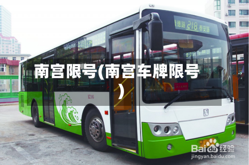 南宫限号(南宫车牌限号)-第3张图片