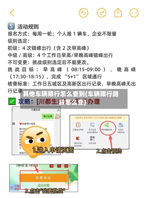 其他车辆限行怎么查到(车辆限行路段怎么查)