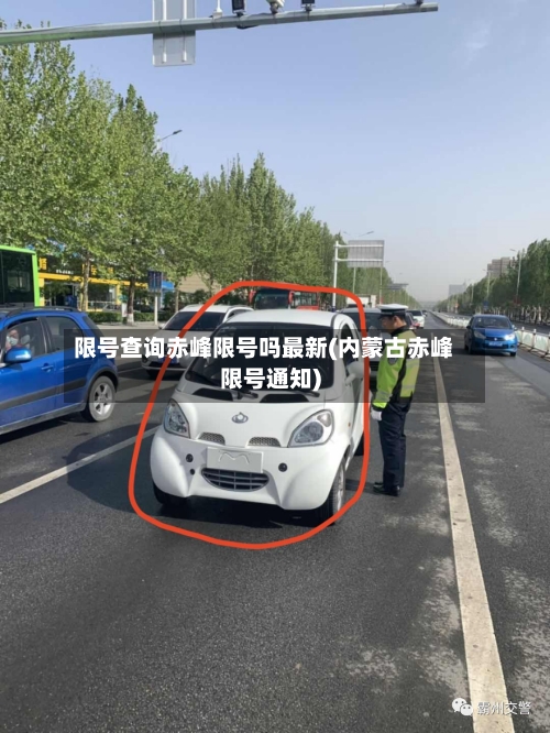 限号查询赤峰限号吗最新(内蒙古赤峰限号通知)-第3张图片