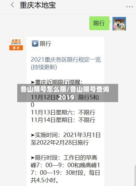 鲁山限号怎么限/鲁山限号查询2019-第3张图片