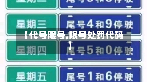【代号限号,限号处罚代码】-第2张图片