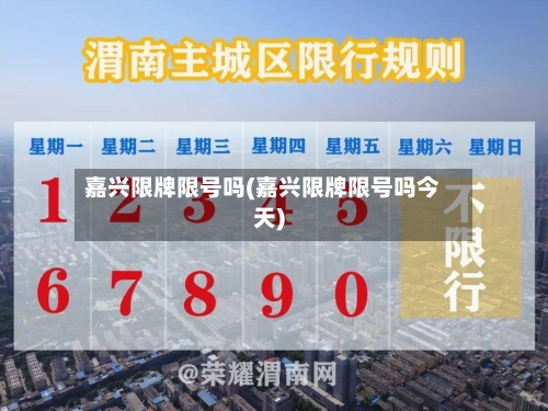 嘉兴限牌限号吗(嘉兴限牌限号吗今天)-第2张图片