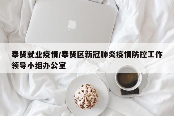 奉贤就业疫情/奉贤区新冠肺炎疫情防控工作领导小组办公室