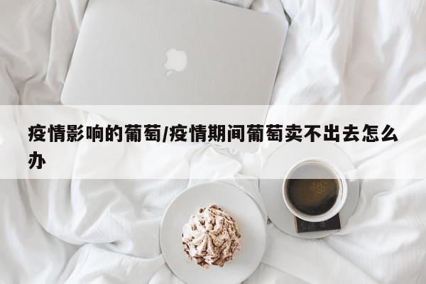 疫情影响的葡萄/疫情期间葡萄卖不出去怎么办
