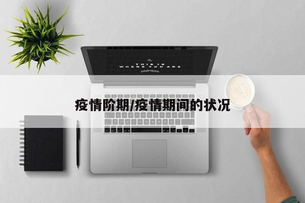 疫情阶期/疫情期间的状况